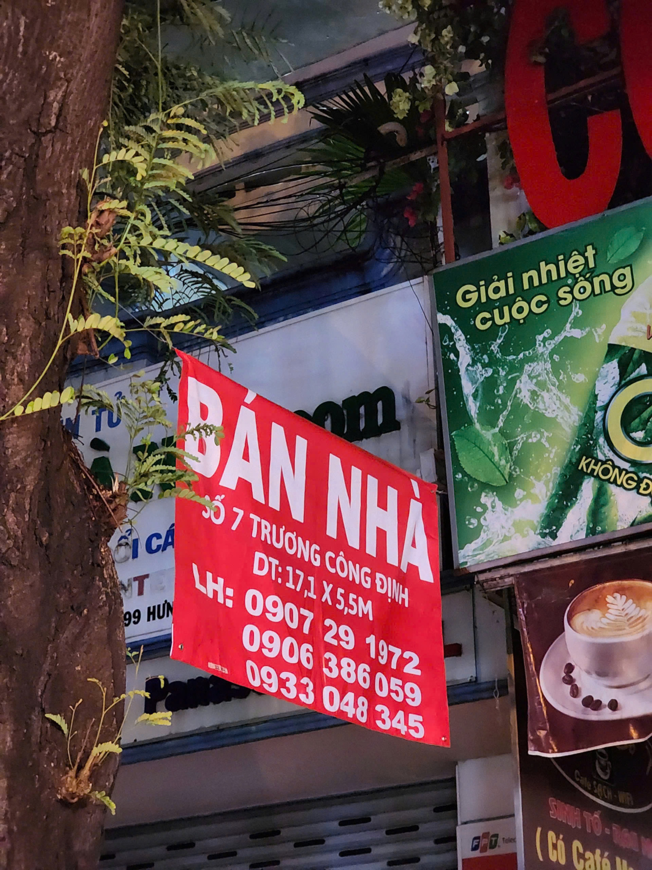 Bán nhà 7 Trương Công Định Phường Tân Bình - Hinh 6