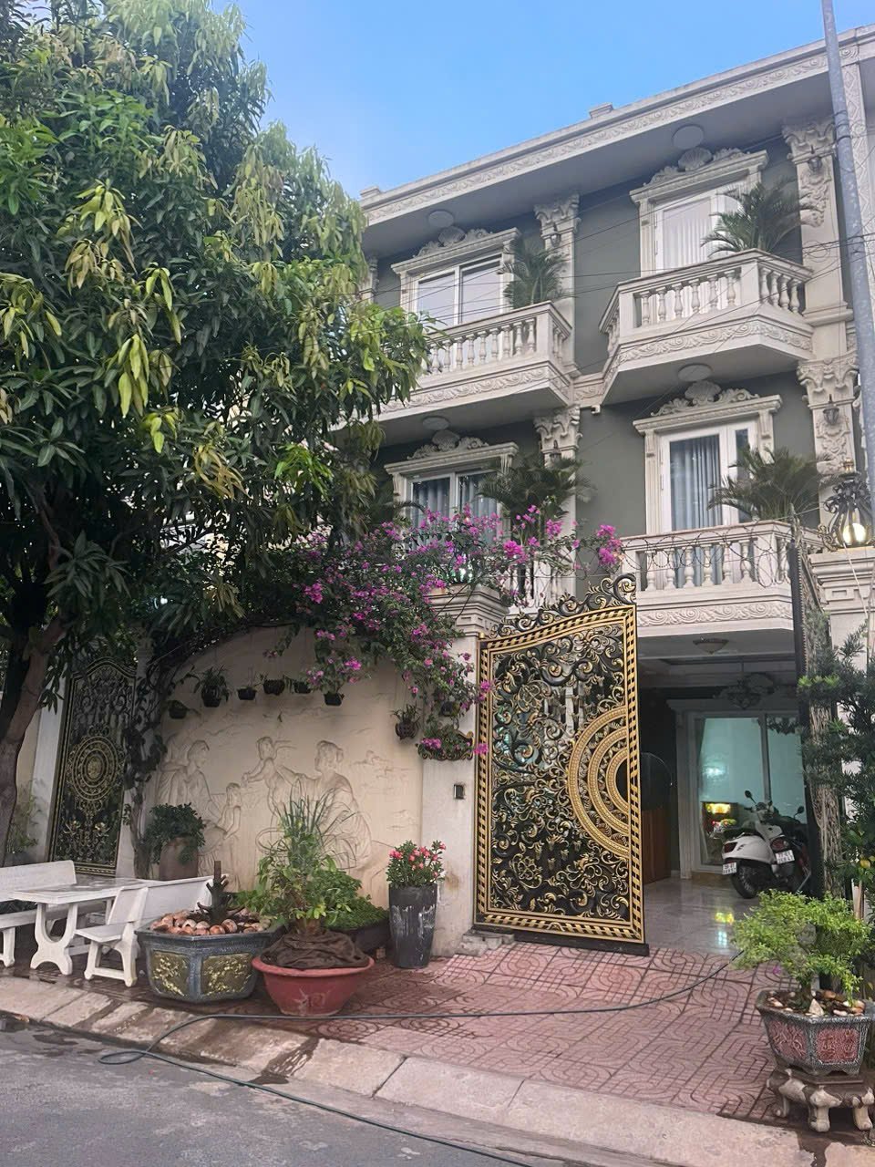 Bán Biệt thự 03Thửa: 730Tờ: 79 D17 Phường Phước Long - Hinh 1