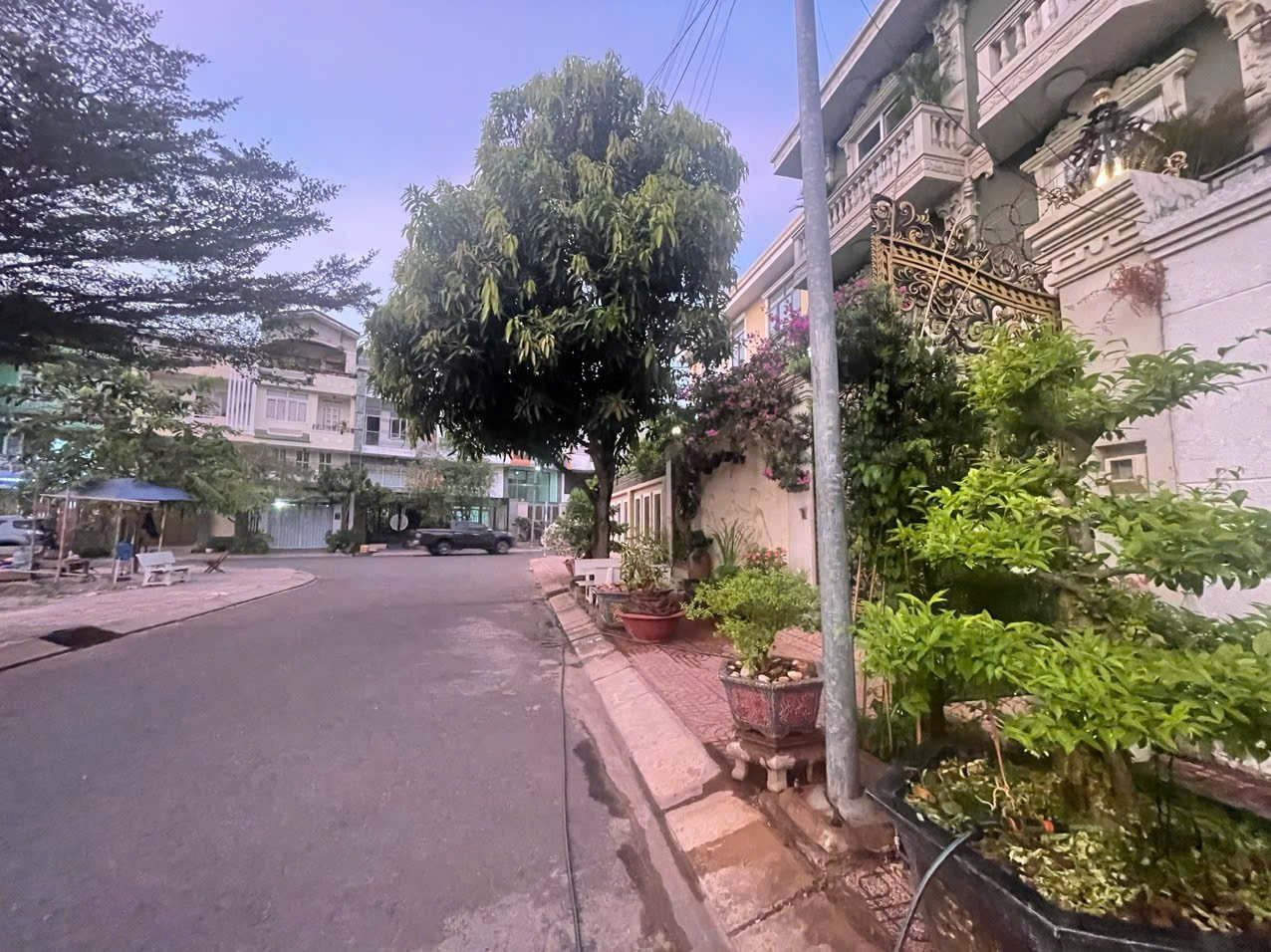 Bán Biệt thự 03Thửa: 730Tờ: 79 D17 Phường Phước Long - Hinh 2