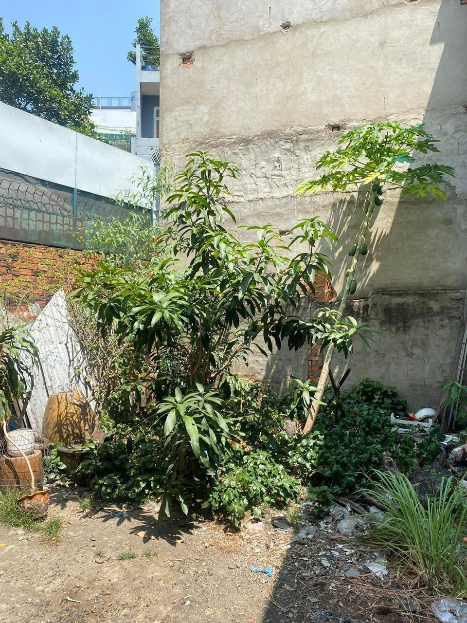 Bán nhà 334/33Thửa: 187Tờ: 11 Lê Quang Định Phường Bình Lợi Trung - Hinh 8