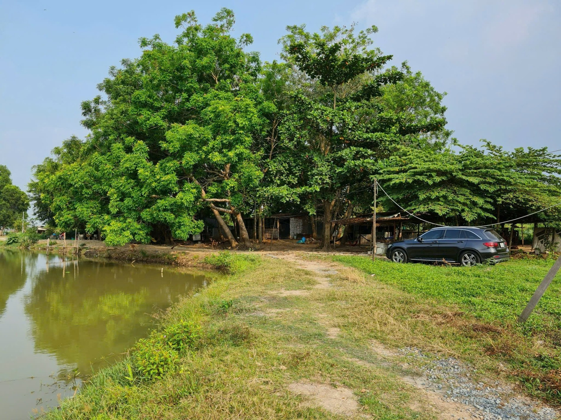 Bán nhà 872Thửa: 4-5-38-39-65Tờ: 76-81 Long Phước Phường Long Phước - Hinh 4