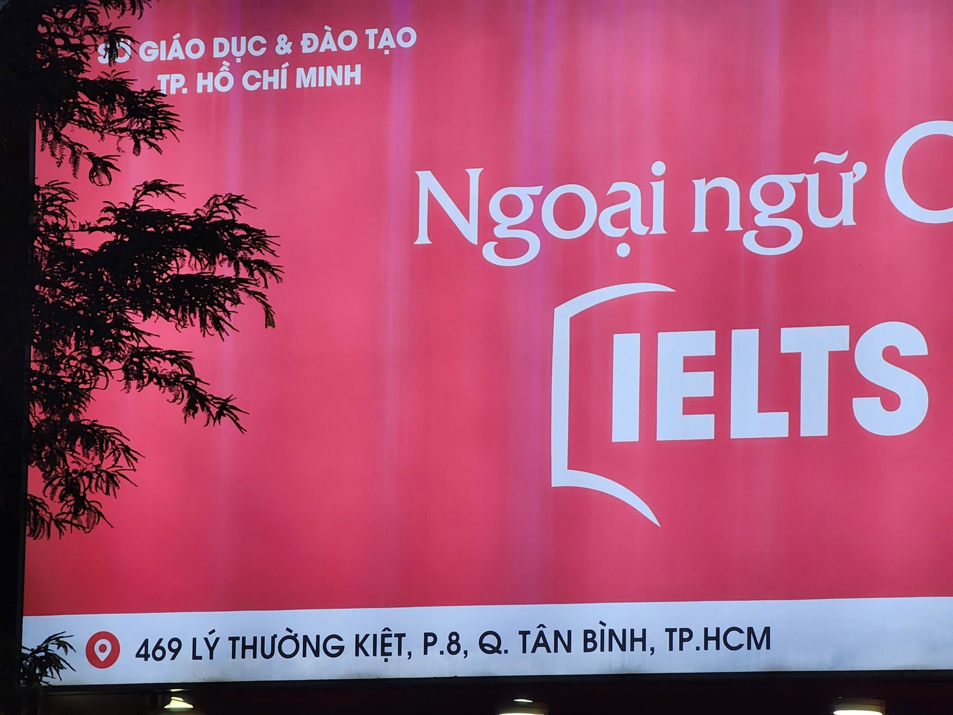 Bán Nhà 465-467-469 Lý Thường Kiệt Phường Tân Hòa - Hinh 3