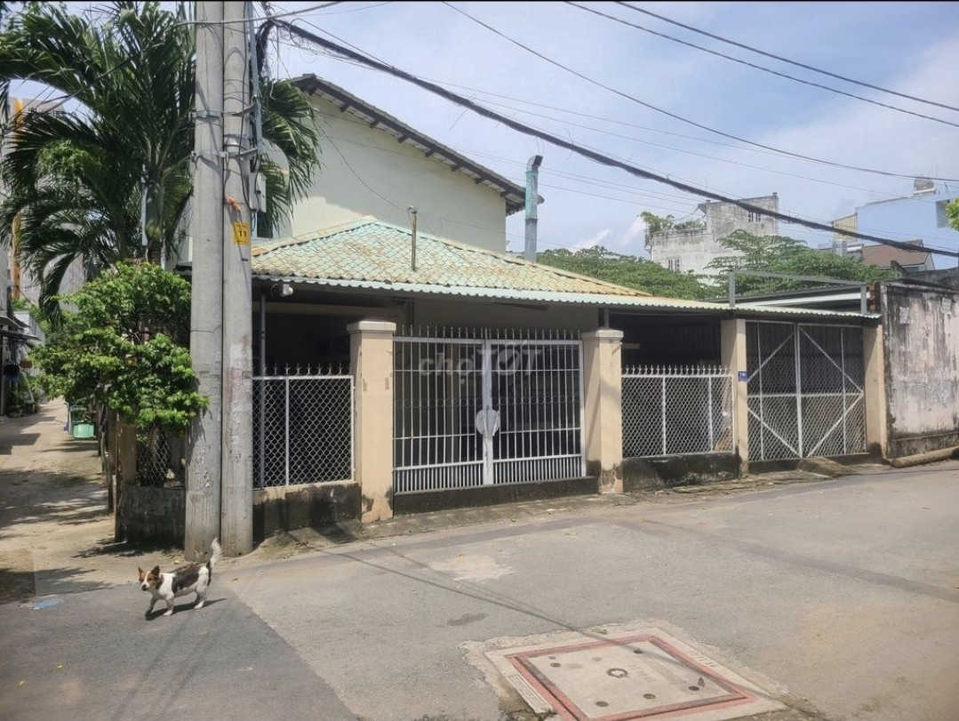 Bán nhà 70-72-76 Số 18 Phường Cát Lái - Hinh 6