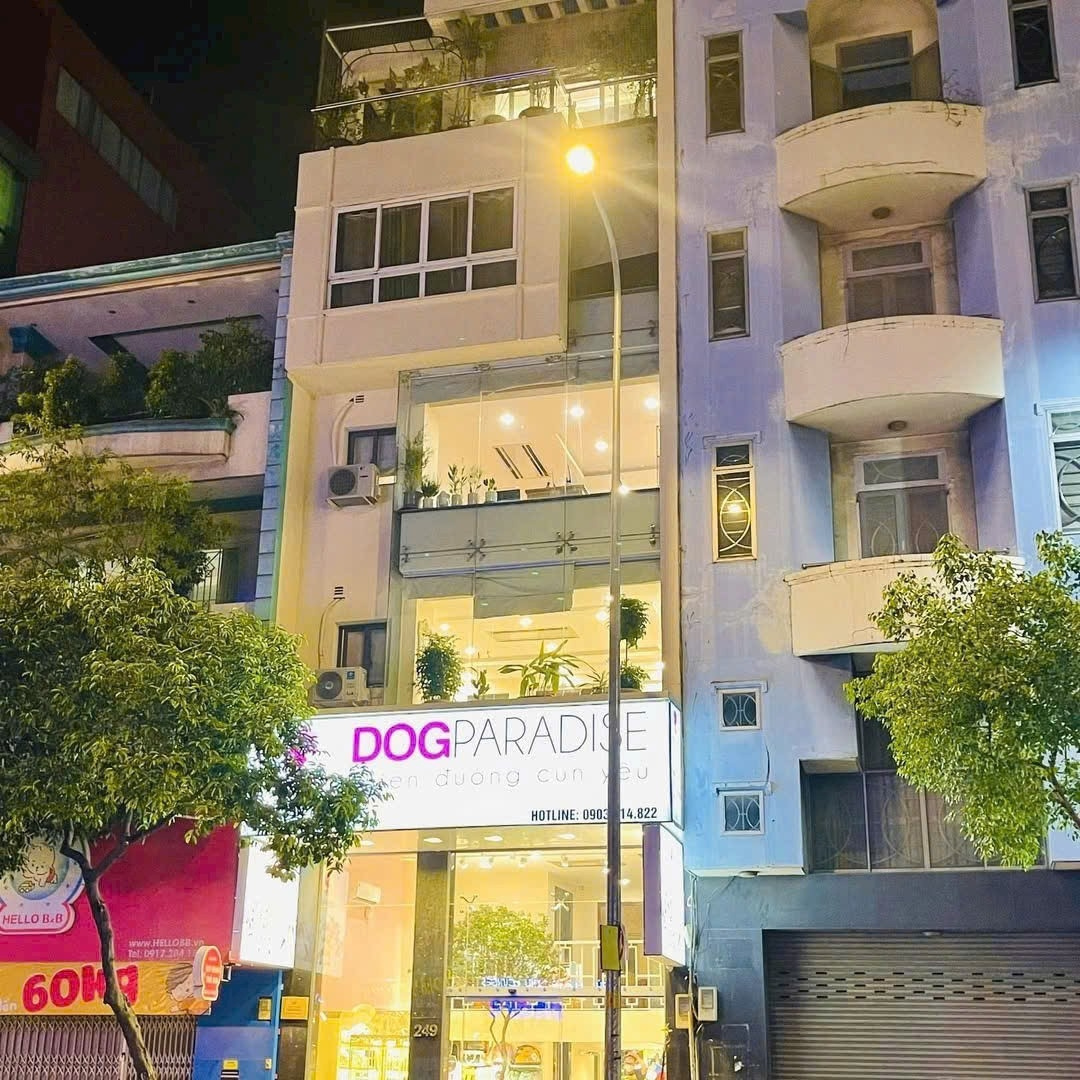 Bán nhà 249 Khánh Hội Phường Vĩnh Hội - Hinh 10