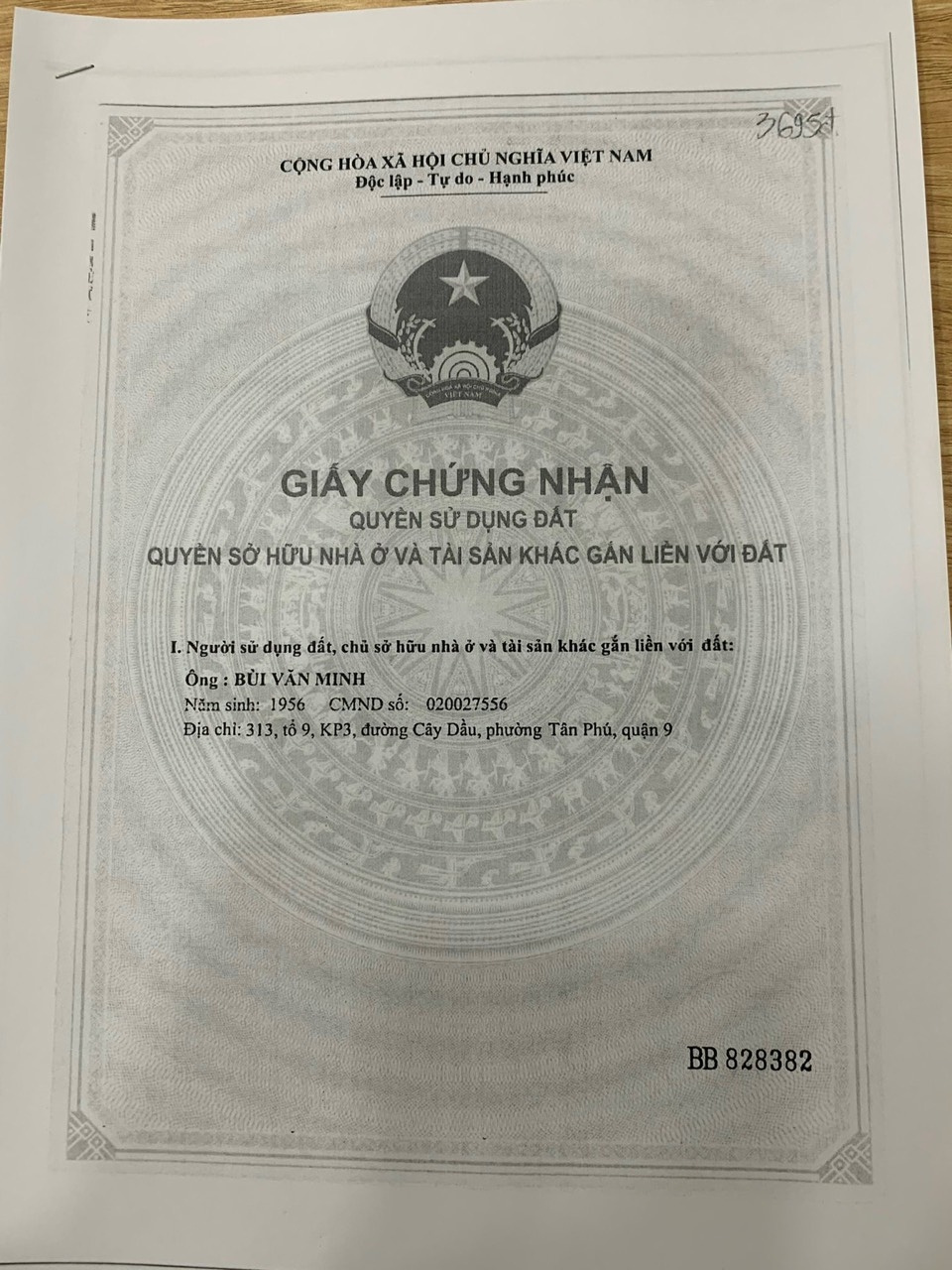 Bán nhà 146/3 Số 8 Phường Thông Tây Hội - Hinh 9
