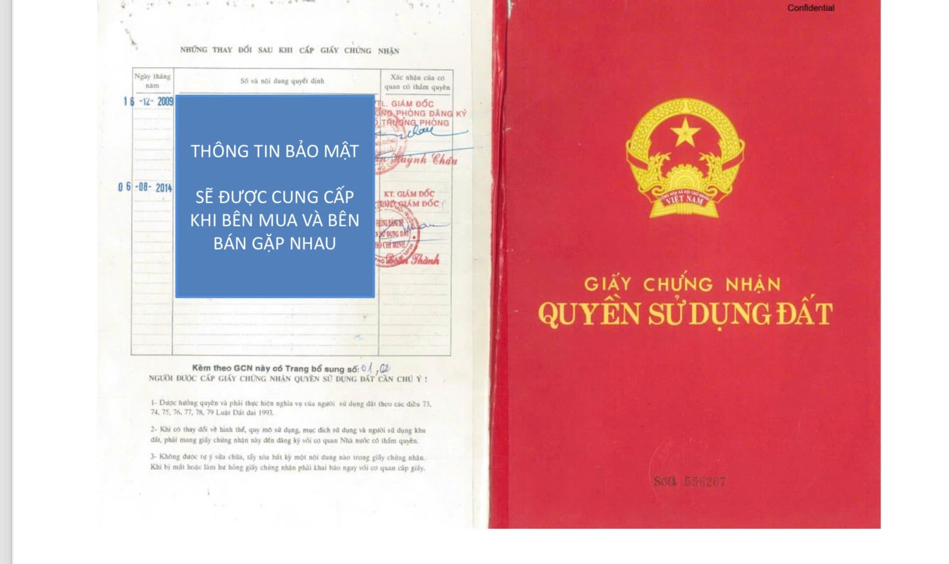 Bán nhà 31 Chế Lan Viên Phường Tây Thạnh - Hinh 2