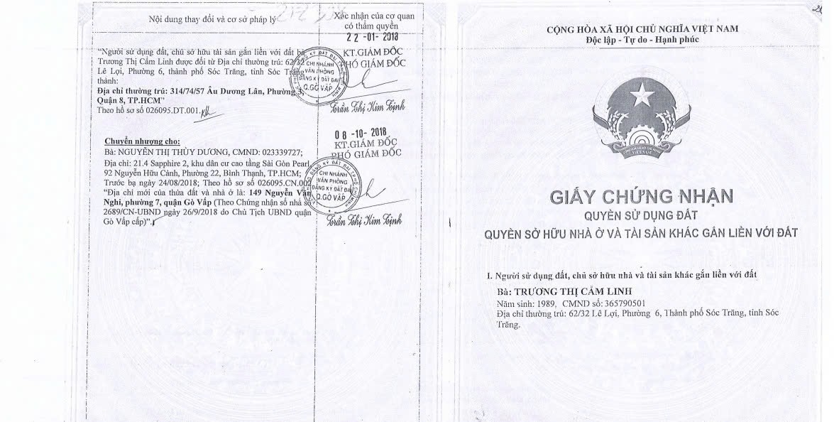 Bán nhà 149 Nguyễn Văn Nghi Gò Vấp - Hinh 3