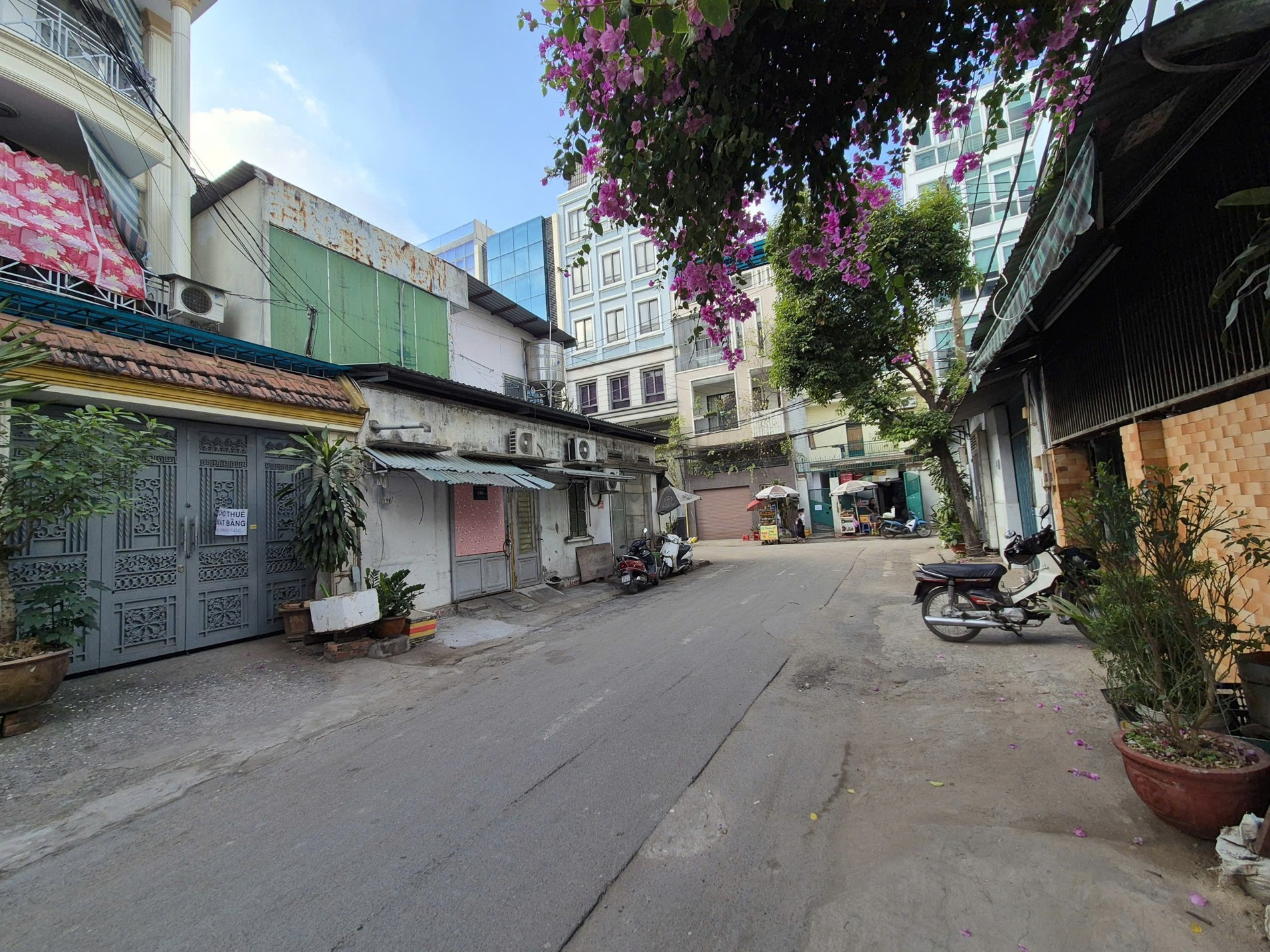 Bán nhà 4 Sầm Sơn Phường Tân Sơn Nhất - Hinh 8