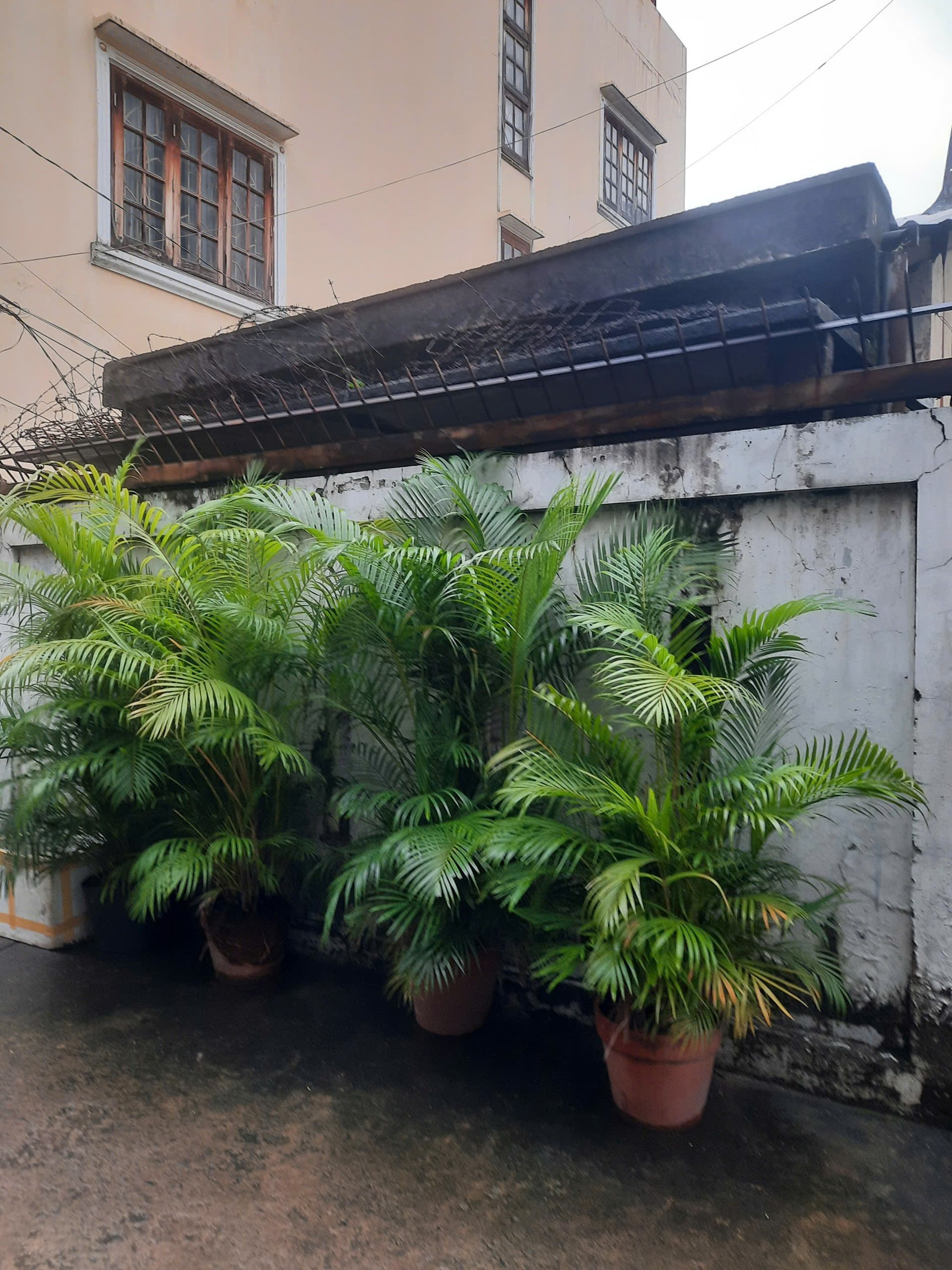 Bán Nhà 279/69 Huỳnh Văn Bánh Phường Phú Nhuận - Hinh 3