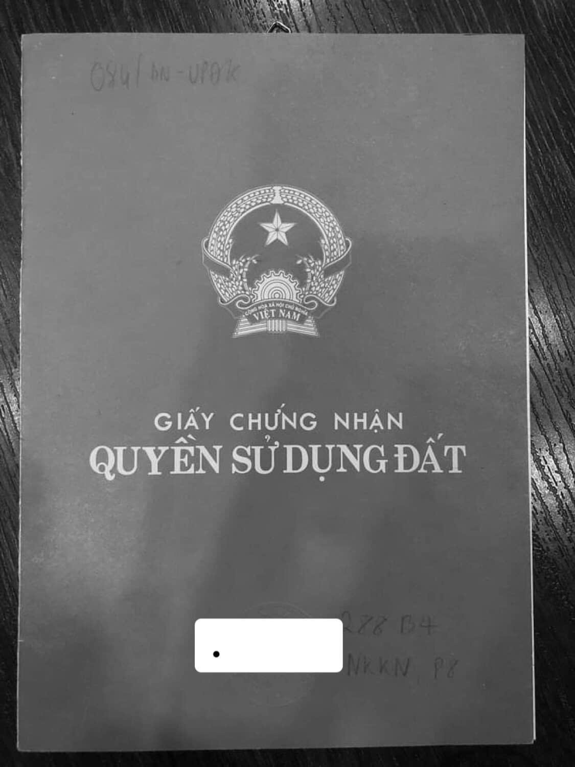 Bán Nhà 288B4 Nam Kỳ Khởi Nghĩa Phường Xuân Hòa - Hinh 10